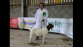 Jamaal  at his first show 